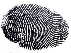 Do Mobile Fingerprint Scanners Truly Protect Your Business?